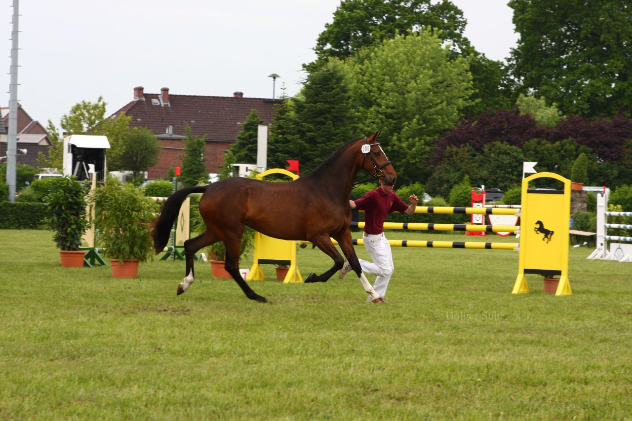 Bild 120 - Elmshorn am 9.6.10